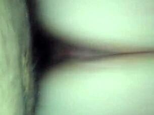 chilena with white butt in a simple scene