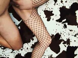 Bold Amateur Assfucking Couple