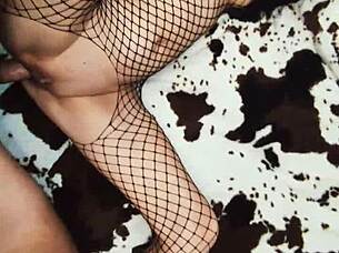 Bold Amateur Assfucking Couple