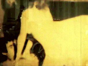 Vintage porn contest from 1870s to 1970s.