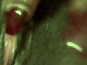 Pretty Pink Flower In The Garden.