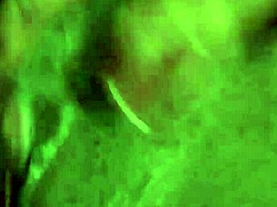 Pretty Pink Flower In The Garden.