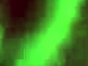 Pretty Pink Flower In The Garden.