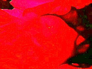 18 Year Old Nymphomaniac Masturbates Shaved Pussy To Orgasm