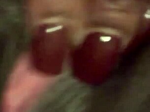 Pretty Pink Flower In The Garden.