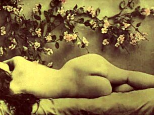 Dark Lantern Presents Sins Of Step Grandmothers Erotic Confessions