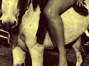 Dark Lantern Presents Beauty and the Beast