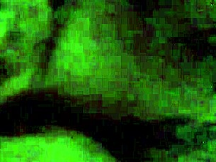 hey, slut baylee really loves sucking that big cock deepthroat style