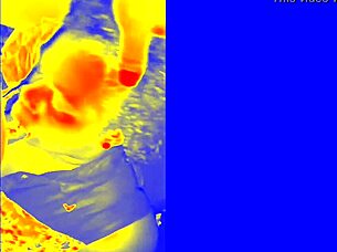 she says, 'give me that thermal sloppy blowjob now'