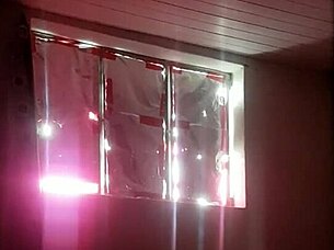 came to visit the little cousin for a chat