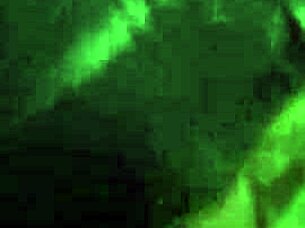 Dtfdating - Tattooed Milf Fucks Hot Young 18+ Tattooed Guy On First Date