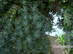 Alice's Foursome With Queen Mad Hatter Rabbit