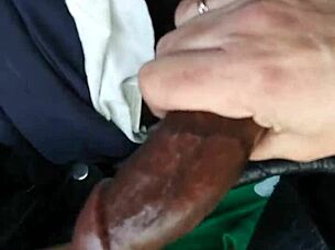 Lisa Gus gives blowjob to black cock in interracial sucking.