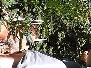 Hot suck and fuck in the 420 patch