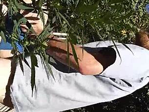 Hot suck and fuck in the 420 patch