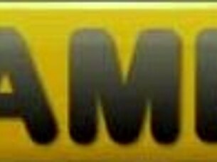 Lunar New Year Sex Celebration