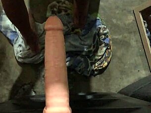 A quick encounter before bedtime