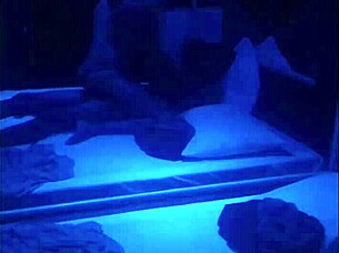 Casalsixnine69's skinny housewife rides big black cock in interracial fuck 😏