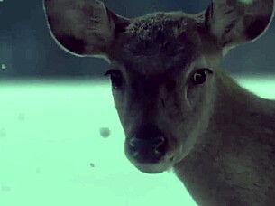 ditto - newjeans side a music video with bent over scenes