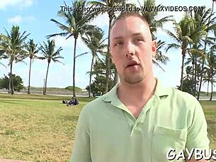 scenes from gay bear movie