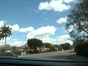 Fellows Having Homosexual Sex