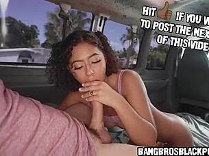 i'm a mulatto amateur hopping on the bus to get fucked