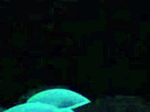 Britney Madison feels intense blacklight sex