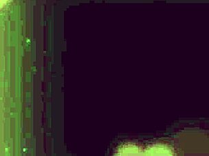 Say So - Overwatch Tribute Smf Hmv W Futa