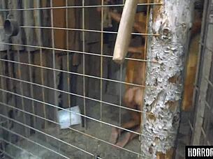 in horrorporn, the beast from the woods licks and fucks in doggystyle with bondage and blowjob