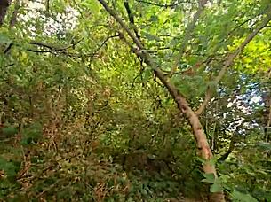 Please Don't Stop Cumming Inside Me While I Masturbate In Public