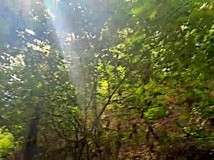 Please Don't Stop Cumming Inside Me While I Masturbate In Public