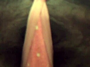 Strip tease in bathroom?