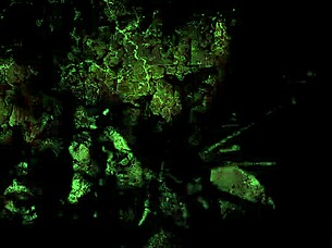 Feeling Nostalgic with Vintage Erotic Anime Drawings So Sexy