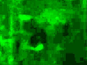 Watch Cracky Forget Those Objects in Her Pussy! Can She Handle It?