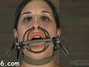 beauty tossed in cage with babe for wet pussy sucking?