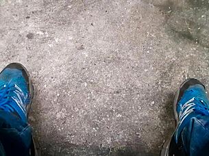 Gay Brazilian Man Masturbates Alone In The Woods