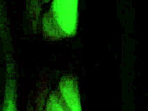 My Friend Fucked Me Again - Did I Miss It?