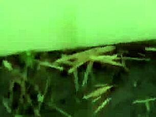 brooke wylde sneaking around to suck dick.