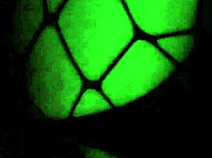 My Friend Fucked Me Again - Did I Miss It?