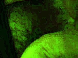 Does My Uncle Masturbate My Hairy Pussy? Intense Teasing Session