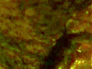 Does My Uncle Masturbate My Hairy Pussy? Intense Teasing Session