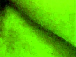 Gay twinks clash in bareback action