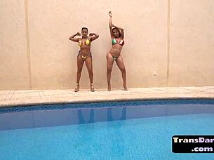 Group of kinky latina tgirls in bareback trio action