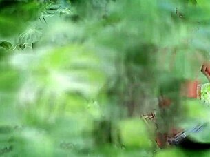 Latino boys eat ass intensely in bonus scene 🔥 huge cocks rough interracial action