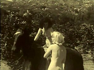 i adore beauty and beast vintage charm