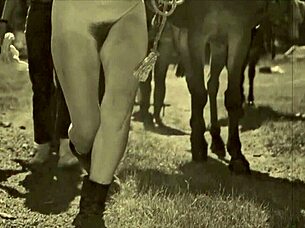 i adore beauty and beast vintage charm