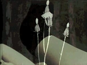 Vintage Halloween Hairy Pussy Porn