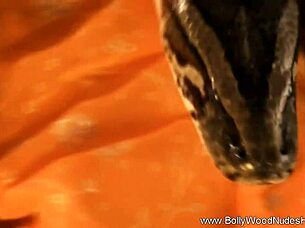 forbidden sensual desires from india stir deep emotions