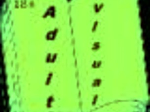 exploring the next chapter in one day at a time series