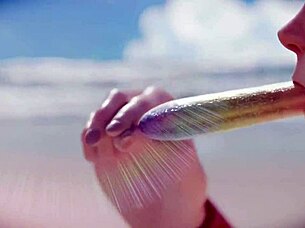 Detailed Overwatch Compilation Scenes 152, 30, 10, 24